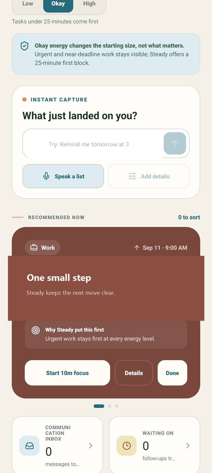 Steady Today screen showing energy-aware focus and instant capture